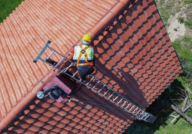 Best Roof Coating and Sealing  in Indian River, MI